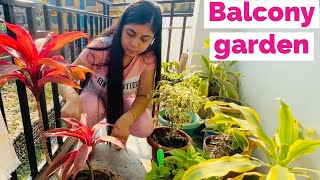 My  Balcony￼ garden care  with Gardening tools￼ ! SuhaniStyleTips