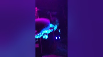 Patterns nc-The Perfectionist live