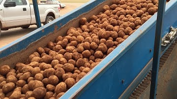 Greentronics RiteWeight In-Line Conveyor Scale system