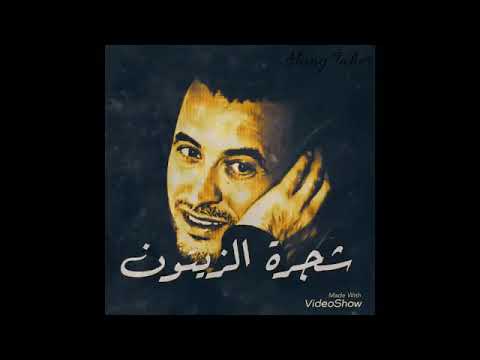 تنزيل اغنية شجره الزيتون كاظم الساهر Mp3