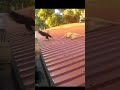 ÐšÐžÐ¨ÐšÐ£ Ð£ÐšÐ£Ð¡Ð˜Ð› ÐŸÐÐ£Ðš!