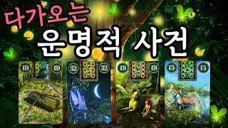 타로다가오는 운명적 사건!
