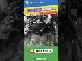 颱風樺加沙影響