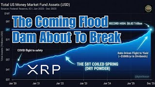 Ripple CEO Invokes BlackRock & The Coming XRP Flood