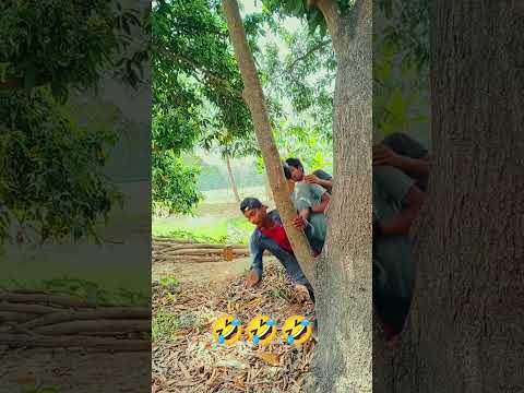 Raja Ji ko attack 😂😂 #viral #shortvideo