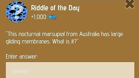 Riddle of the Day Today | Riddle of the Day Zoo | 15-16th December Riddle of the Day | X Empire