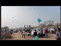 Journey With Kites is live KITE FIGHTING GAME CHALLENGE 14TH FEB