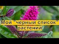 Какие растения я никогда больше не буду выращивать в своем саду