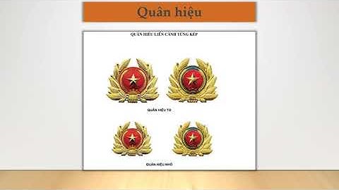 BÀI 3.GDQP&AN K12: TỔ CHỨC QUÂN ĐỘI VÀ CÔNG AN NHÂN DÂN VIỆT NAM