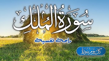 سورة الملك كاملة 💚 بصوت جميل جدا تلاوة هادئة تريح القلب - القارئ حسام المعصبي Surah al Mulk