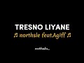 TRESNO LIYANE - NorthSle Feat Agiff