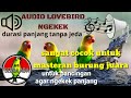 Download Lagu MASTERAN SUARA BURUNG LOVEBIRD AMPUH AGAR NGEKEK PANJANG #masteranlovebird #lovebirt