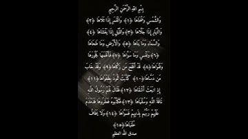 القراءة الصحيحة لسورة الشمس وتجنبوا اللفظ الخاطئ لكتاب الله(عزّ وجلّ) 🌷🤍#القران_الكريم #أقرأ
