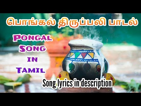 Pongal Tirupali Song Pongal Pongum Day Today Pongal Thirunal