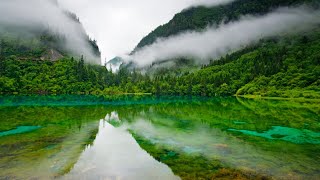 Calm Marimba Music & Water Sounds in Aquarium • Sleep, Relax, Spa, Yoga, Zen Meditation