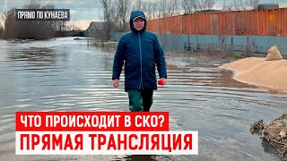 🛑 Ско Топит! Как Спасаются Жители? | Прямая Трансляция Из Ско