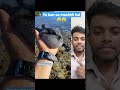 Are Yarr 亞 亞 亞 Shorts Youtubeshorts Tiktok Viral Are Yarr 亞 亞 亞 Shorts Youtubeshorts Tiktok Viral