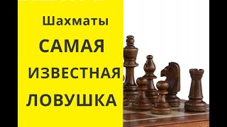 Шахматы. САМАЯ ИЗВЕСТНАЯ ЛОВУШКА ! играть в шахматы онлайн бесплатно