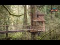 Vivez simplement dans cette magnifique cabane dans les arbres  plein dinformations sur la construction intelligente