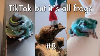 TikTok but it’s all frogs #8