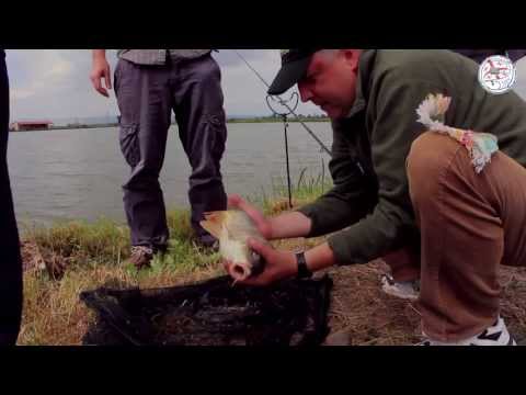 ფიდერით სპორტული თევზჭერა დებედას ტბაზე. feeder fishing on Debeda lake, Georgia.