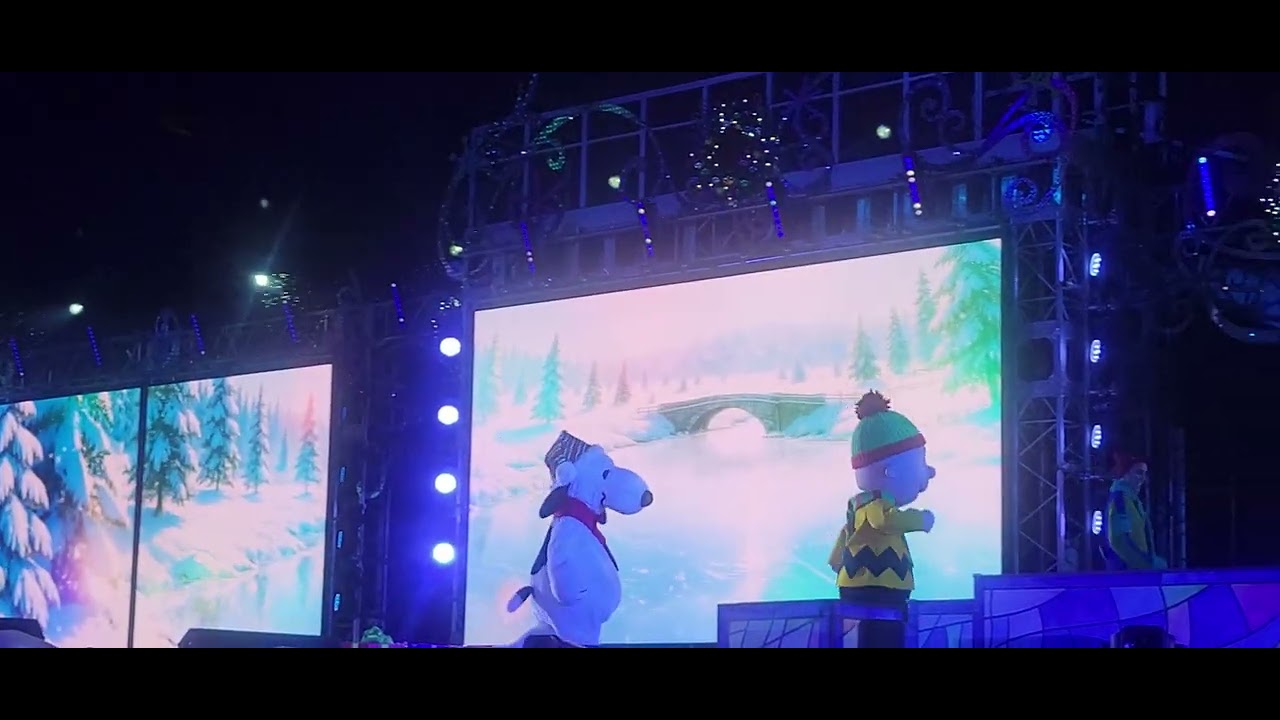 【USJ】2025/11/19 ライト・アップ・ザ・ナイト　クリスマス・セレブレーション