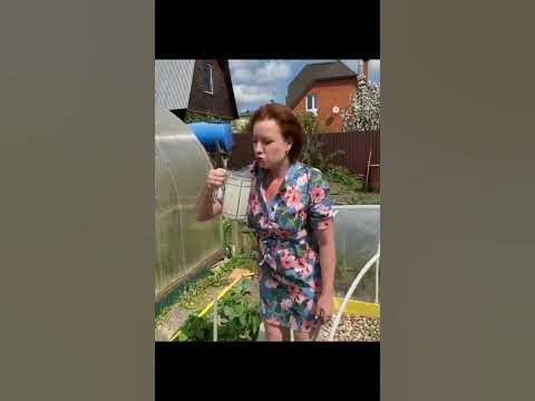 Подкормка для богатого урожая 🍓 - YouTube