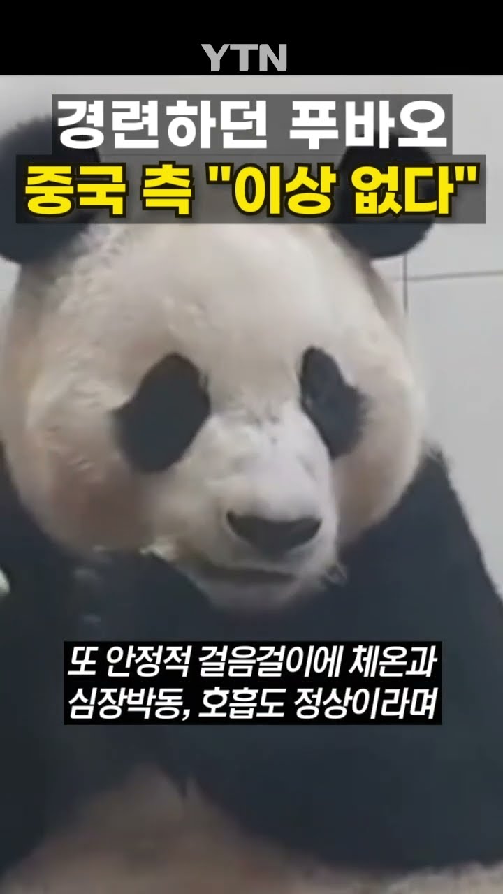 푸바오 상태 중국 입장 #shorts / YTN