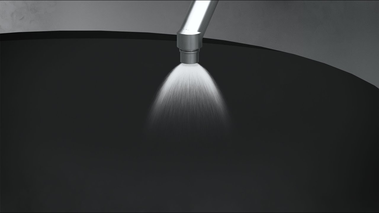 Deuteronomy 19 – “purge”