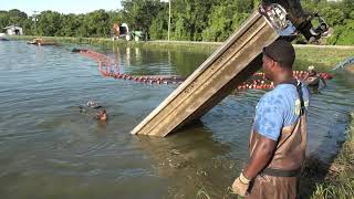 DAY IN LIFE OF FISH FARMER (Lee's Catfish)