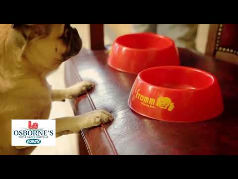 Video: Fromm Family Pet Food Roept Geselecteerde Blikken Hondenvoer Terug