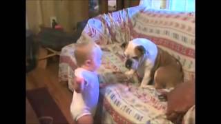 Adorable BABY TALKS TO DOG extended VINE