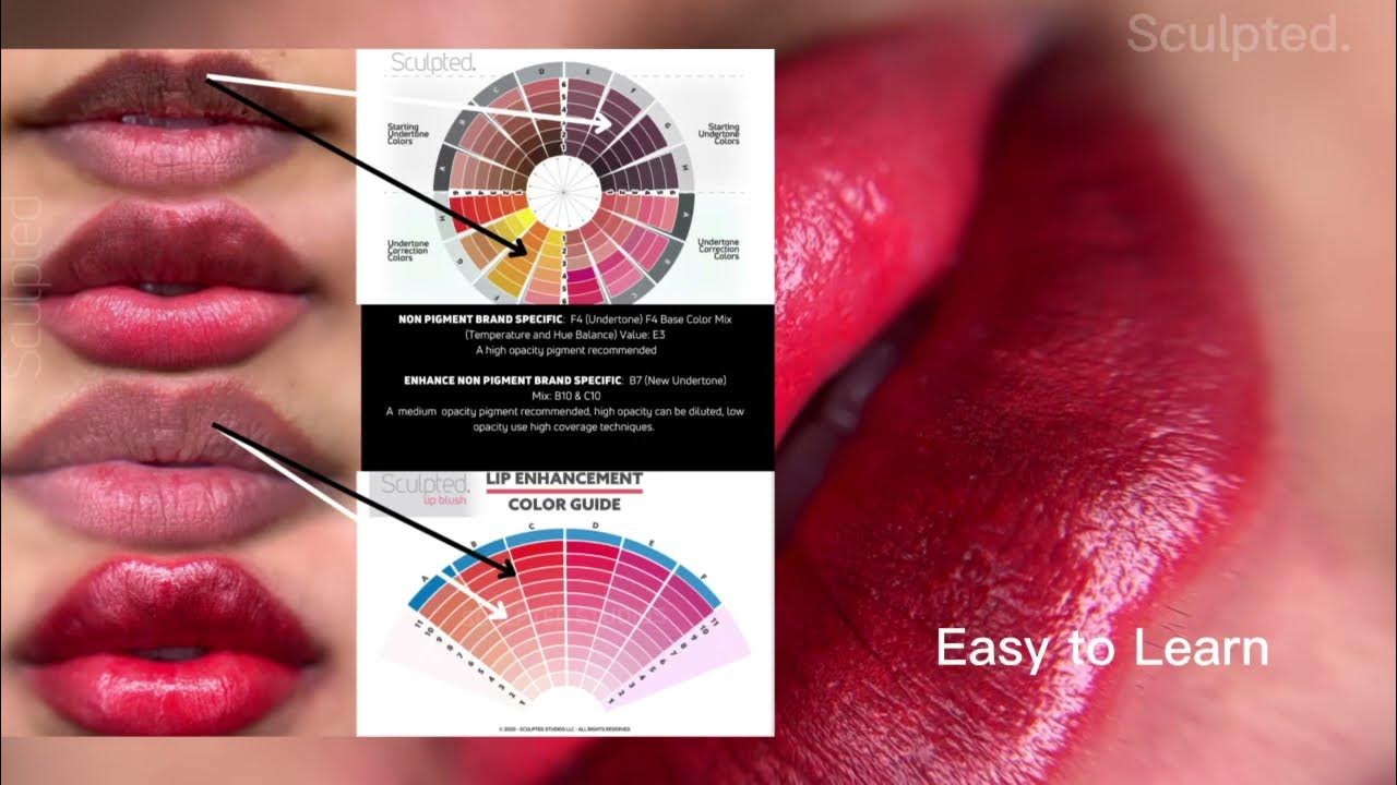 Learn Color & Pigment Theory For Lips YouTube