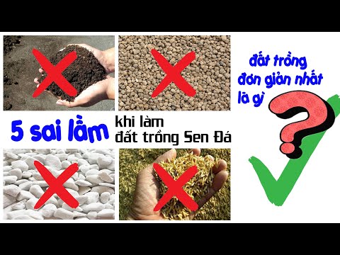 Video: Loại đá nào có trong đất?