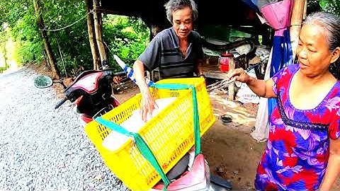 Mang gạo 0 đồng cho 2 ông bà già sống nghề lấy phân dơi dưới chân núi Cô Tô, Tri Tôn, AG 21/09/2023