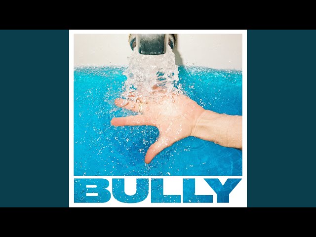 BULLY - WHAT I WANTED