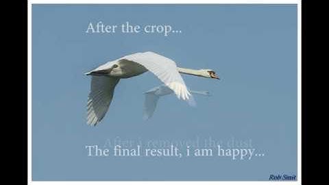 #88 Remove dust in a simple way, using Adobe Photoshop CS6