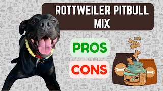 Rottweiler Pitbull Mix: PRO'S & CON'S!!!