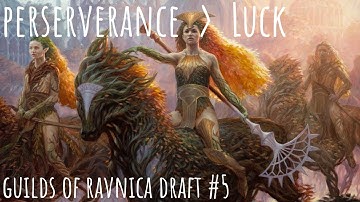Perseverance Beats Luck | Guilds of Ravnica Draft #5