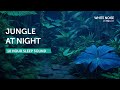 Amazon Jungle Night Ambience - 10 Hours Sleep Sound - Black Screen