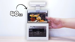 A Nano Reef Tank You Can Put Anywhere! by Danny's Aquariums 13,618 views 8 months ago 4 minutes, 9 seconds