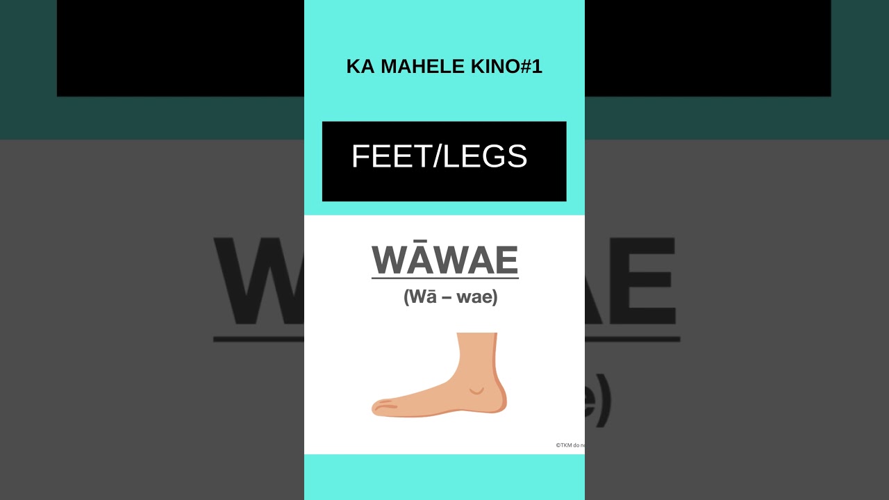 How to say WĀWAE (Feet/Legs) in Hawaiian - Body Part1 