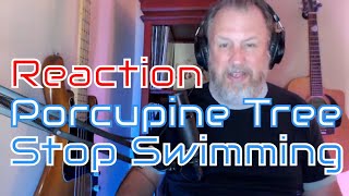 Porcupine Tree - Stop Swimming - Stupid Dream - First Listen/Reaction