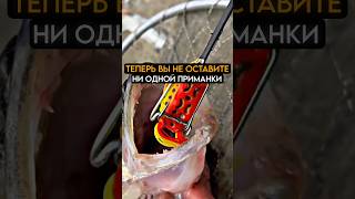 Теперь вы не оставите ни одну приманку на рыбалке #рыбалка #карась #fishing