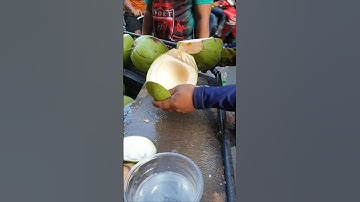 Best Machetes for Coconut Opening: A Practical Comparison