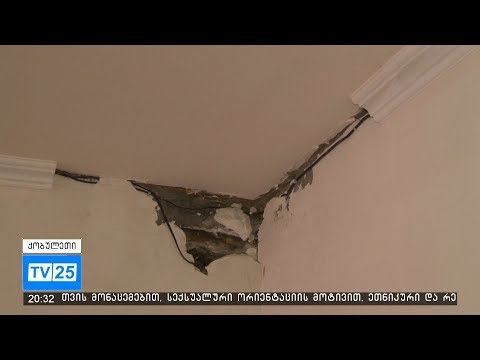 კობალაძეების ოჯახი ,,კრიზისული კვების“ პროგრამაში ჩაერთვებიან