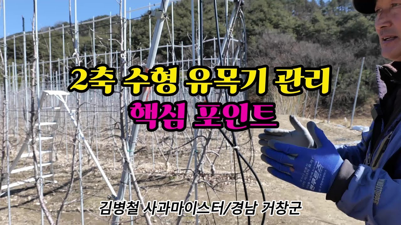 2축 수형 유목기 관리 핵심 포인트