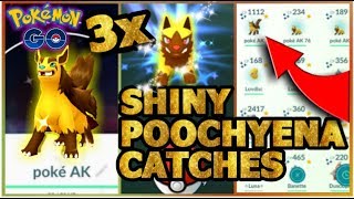images Shiny Mightyena Evolution pokemon go 3 shiny poochyena found in 3 hours evolving poochyena into shiny mightyena