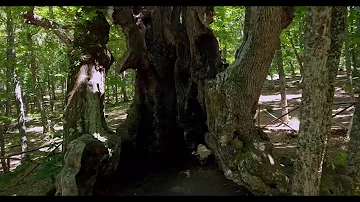 Quando prendere il magnesio durante il ciclo?