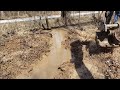 Cleaning ditches with Bobcat e42 mini excavator & ditch work in flooded woods